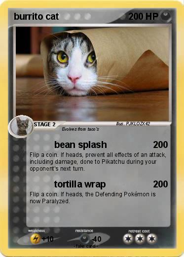 Pokemon burrito cat