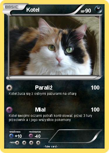 Pokemon Koteł