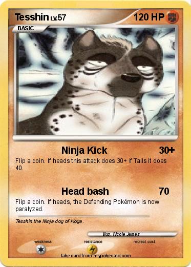 Pokemon Tesshin