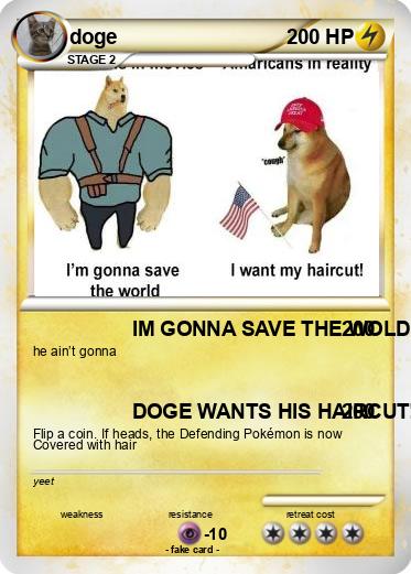 Pokemon doge