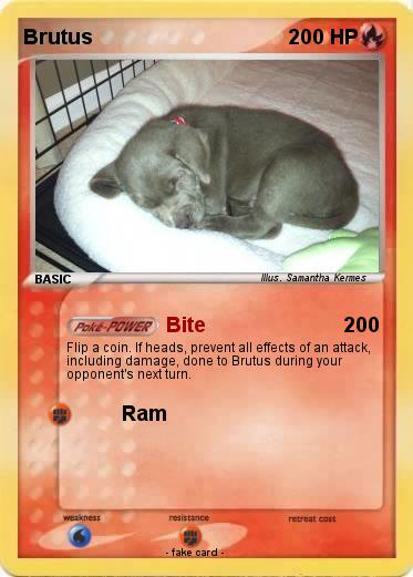 Pokemon Brutus