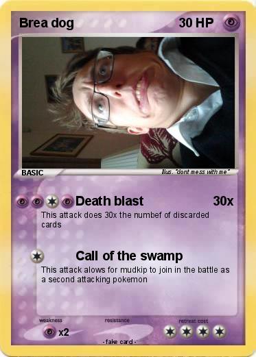 Pokemon Brea dog