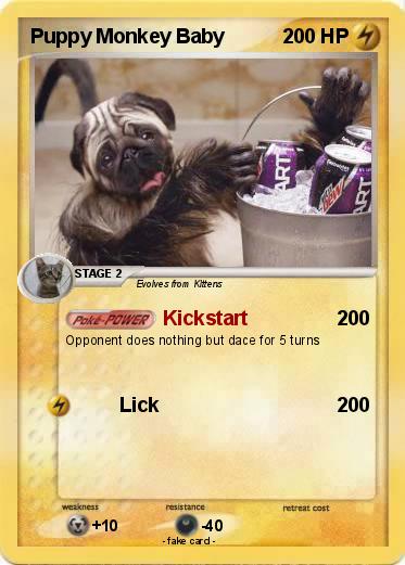 Pokemon Puppy Monkey Baby