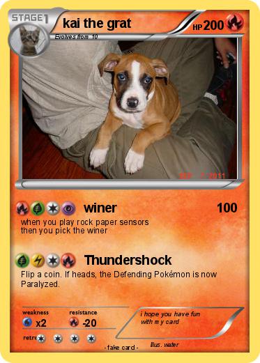 Pokemon kai the grat