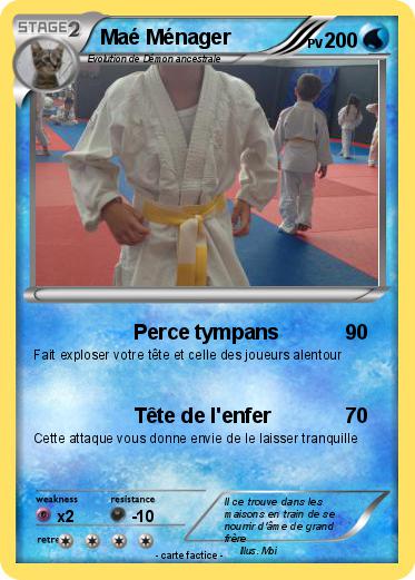 Pokemon Maé Ménager