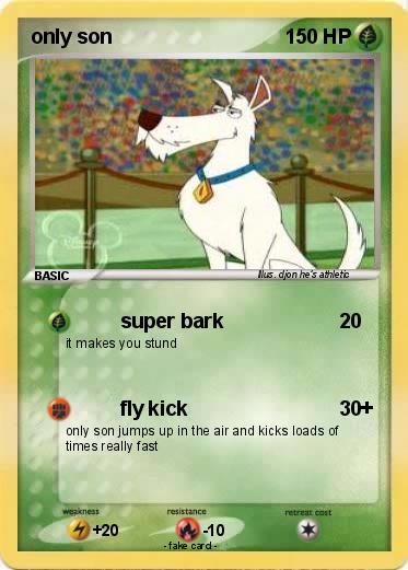 Pokemon only son