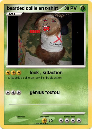 Pokemon bearded collie en t-shirt