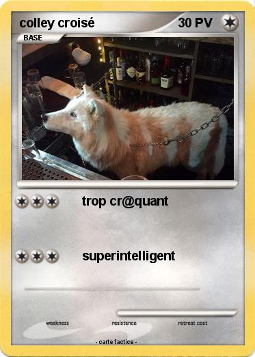 Pokemon colley croisé