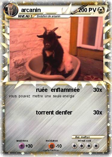 Pokemon arcanin