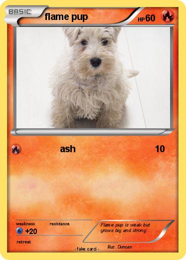 Pokemon flame pup