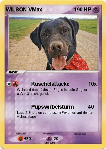 Pokemon WILSON VMax