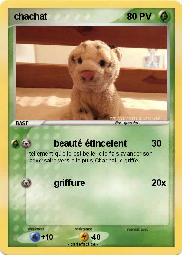 Pokemon chachat