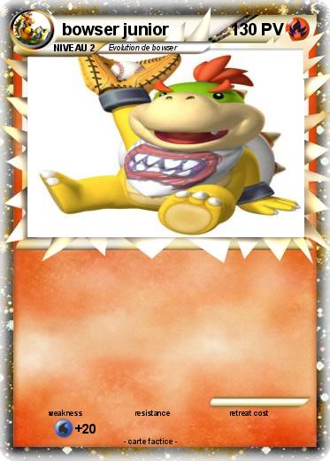 Pokemon bowser junior