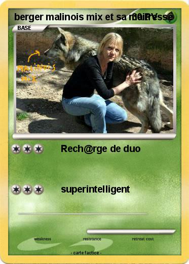 Pokemon berger malinois mix et sa maitresse