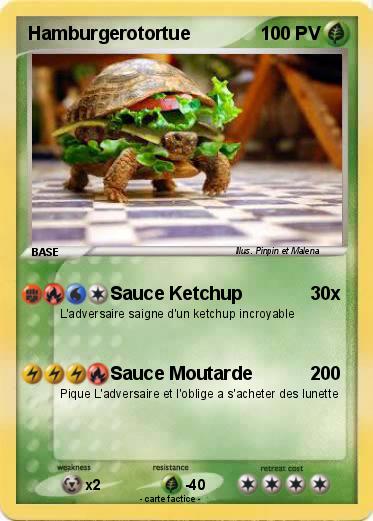 Pokemon Hamburgerotortue