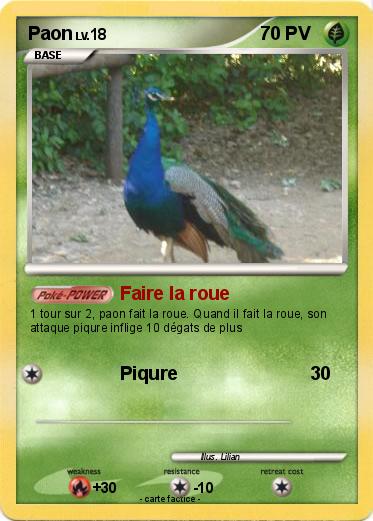 Pokemon Paon