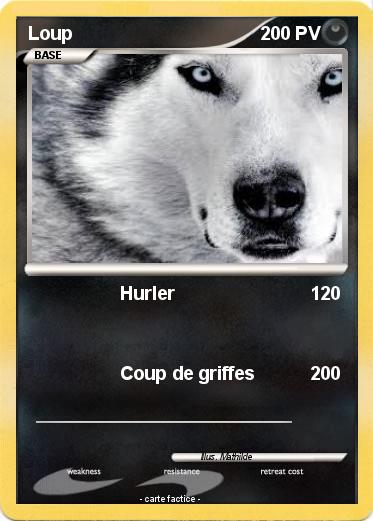 Pokemon Loup