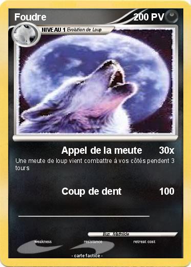 Pokemon Foudre