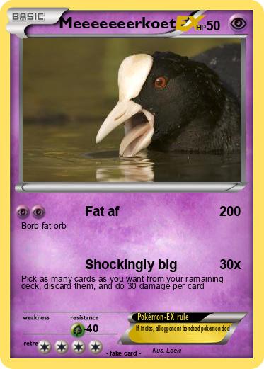 Pokemon Meeeeeeerkoet