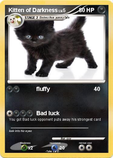 Pokemon Kitten of Darkness