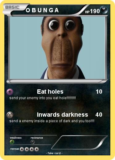 Pokemon O B U N G A