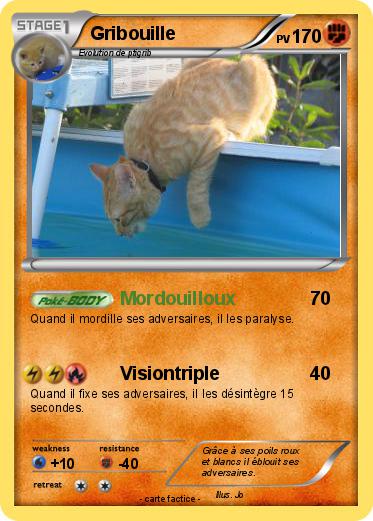 Pokemon Gribouille