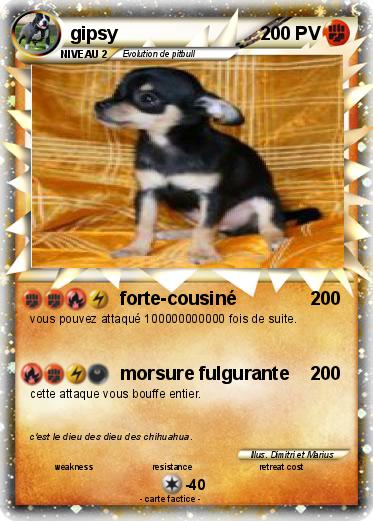 Pokemon gipsy