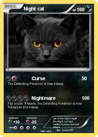 Pokemon Night cat