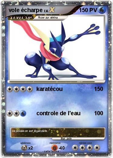 Pokemon vole écharpe