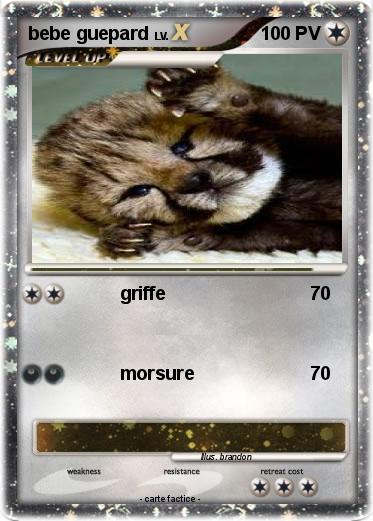 Pokemon bebe guepard