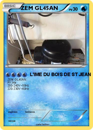 Pokemon ZEM GL45AN