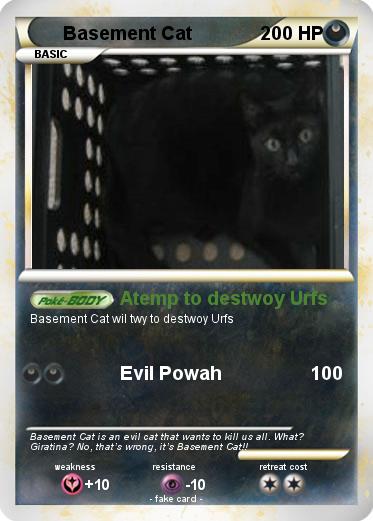 Pokemon Basement Cat