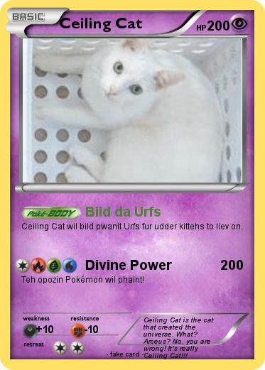 Pokemon Ceiling Cat
