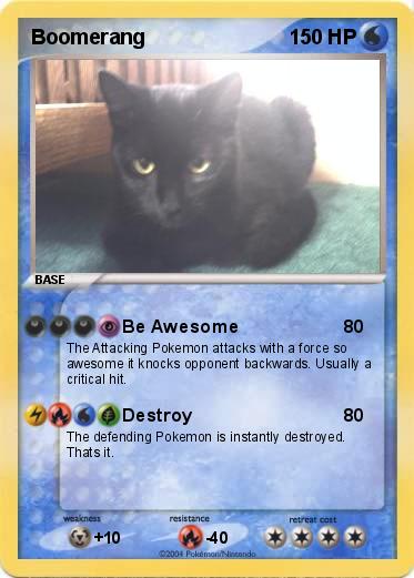 Pokemon Boomerang