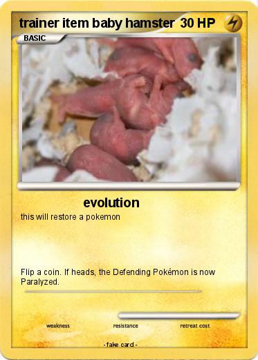 Pokemon trainer item baby hamster
