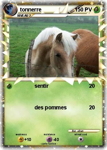 Pokemon tonnerre