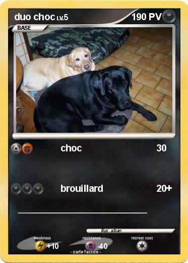 Pokemon duo choc