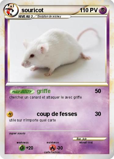 Pokemon souricot