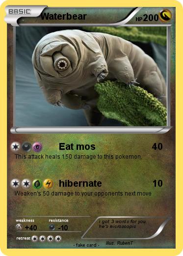 Pokemon Waterbear