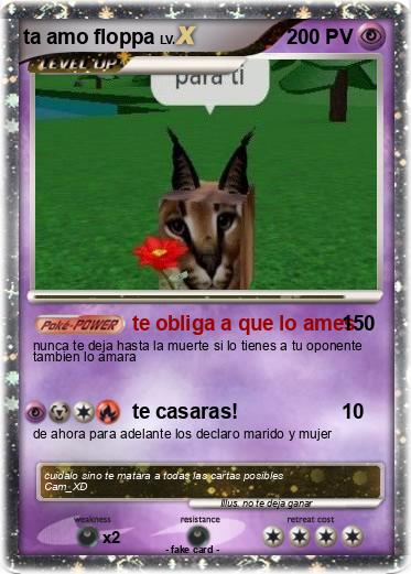 Pokemon ta amo floppa