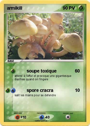 Pokemon armikill