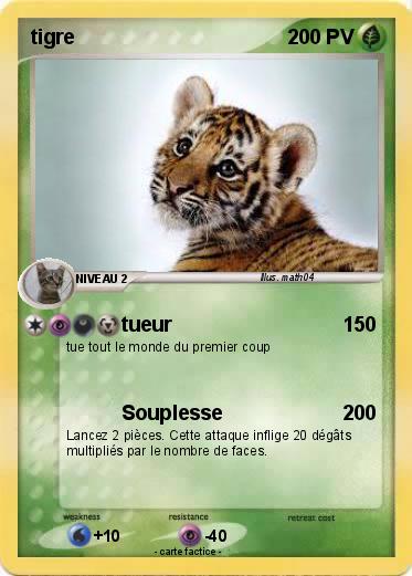 Pokemon tigre