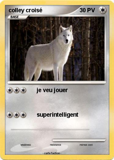 Pokemon colley croisé