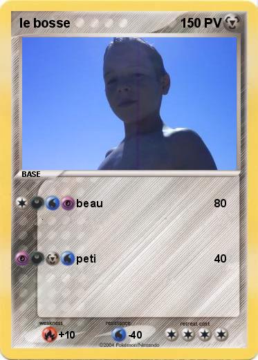 Pokemon le bosse