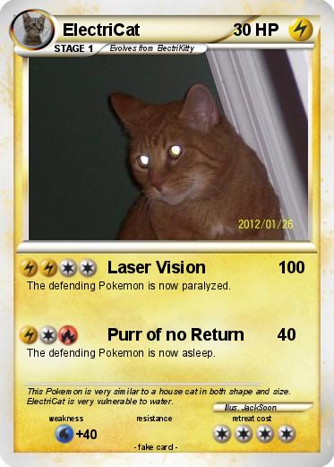 Pokemon ElectriCat