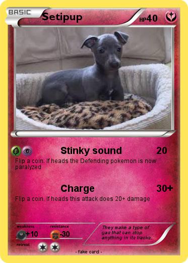 Pokemon Setipup