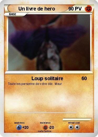 Pokemon Un livre de hero