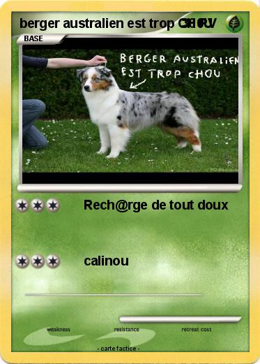 Pokemon berger australien est trop CH0U