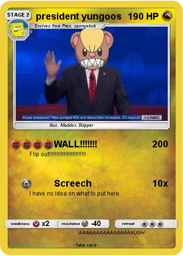 Pokemon president yungoos