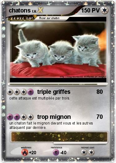 Pokemon chatons